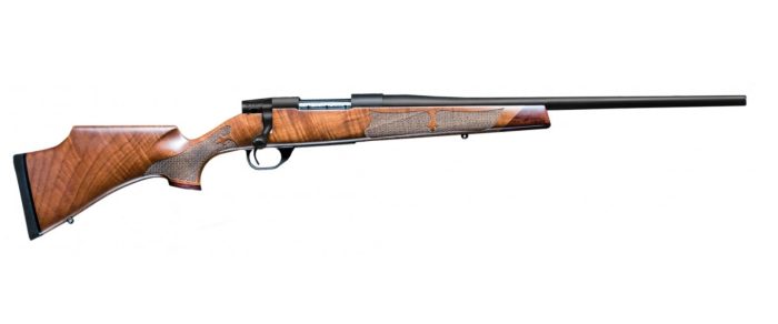 Elegant wooden single-barrel shotgun on white background