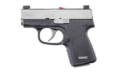 Compact silver and black handgun on white background