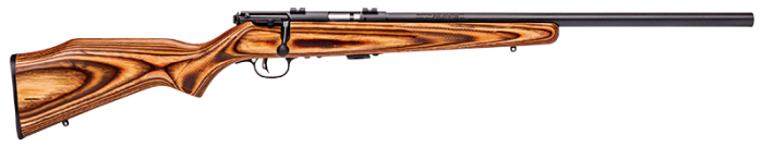 Detailed wooden hunting rifle on white background