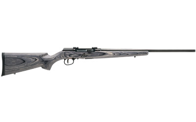 Side view of modern hunting rifle with scope