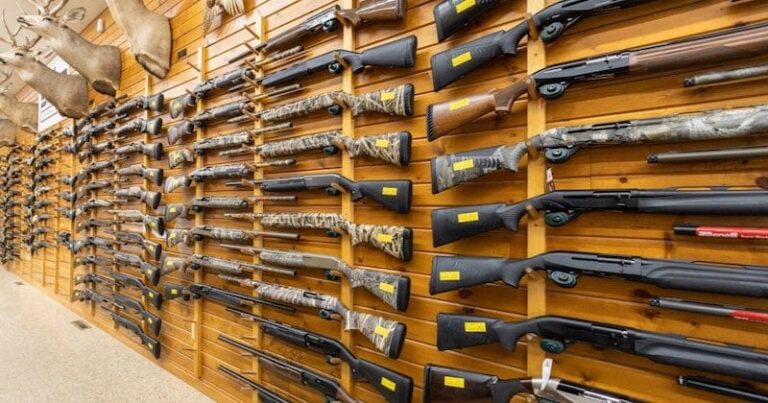 A responsible gun owner selects firearms from a licensed dealer in a safe and secure environment