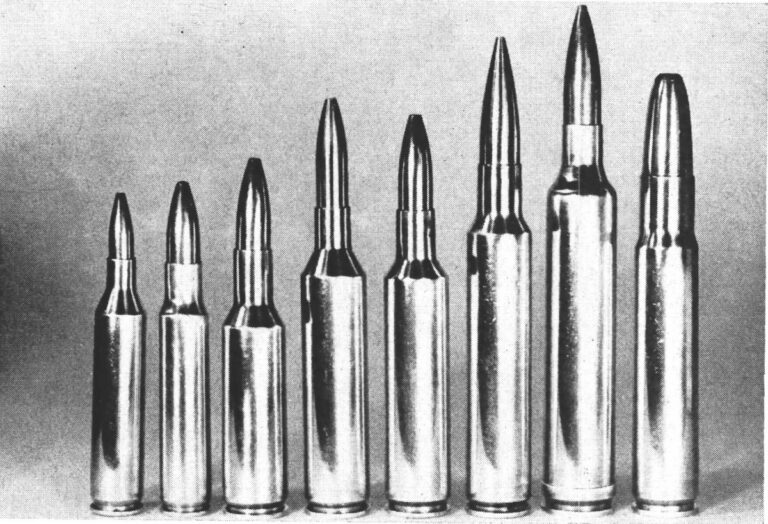 Custom brass cartridge cases and reloading dies on a wooden workbench