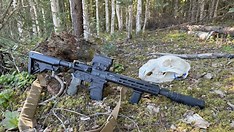 ARs for Bear Defense: Practical Choice or Potential Disaster?