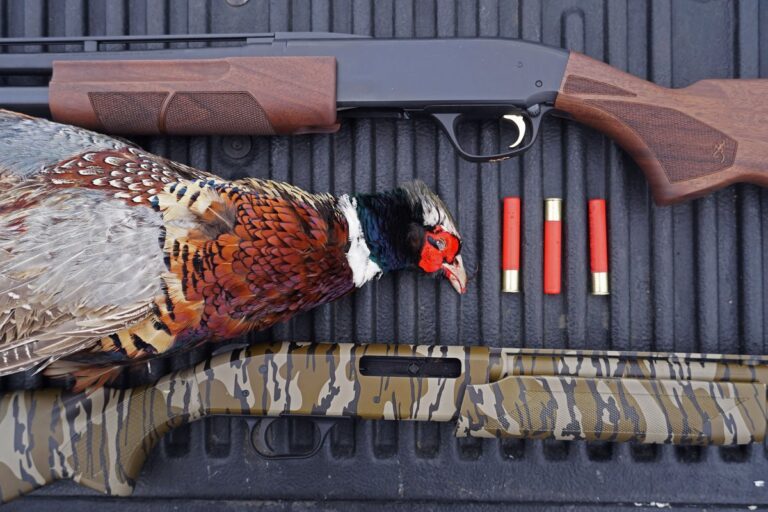 A close-up of a .410 gauge pump action shotgun with a walnut stock