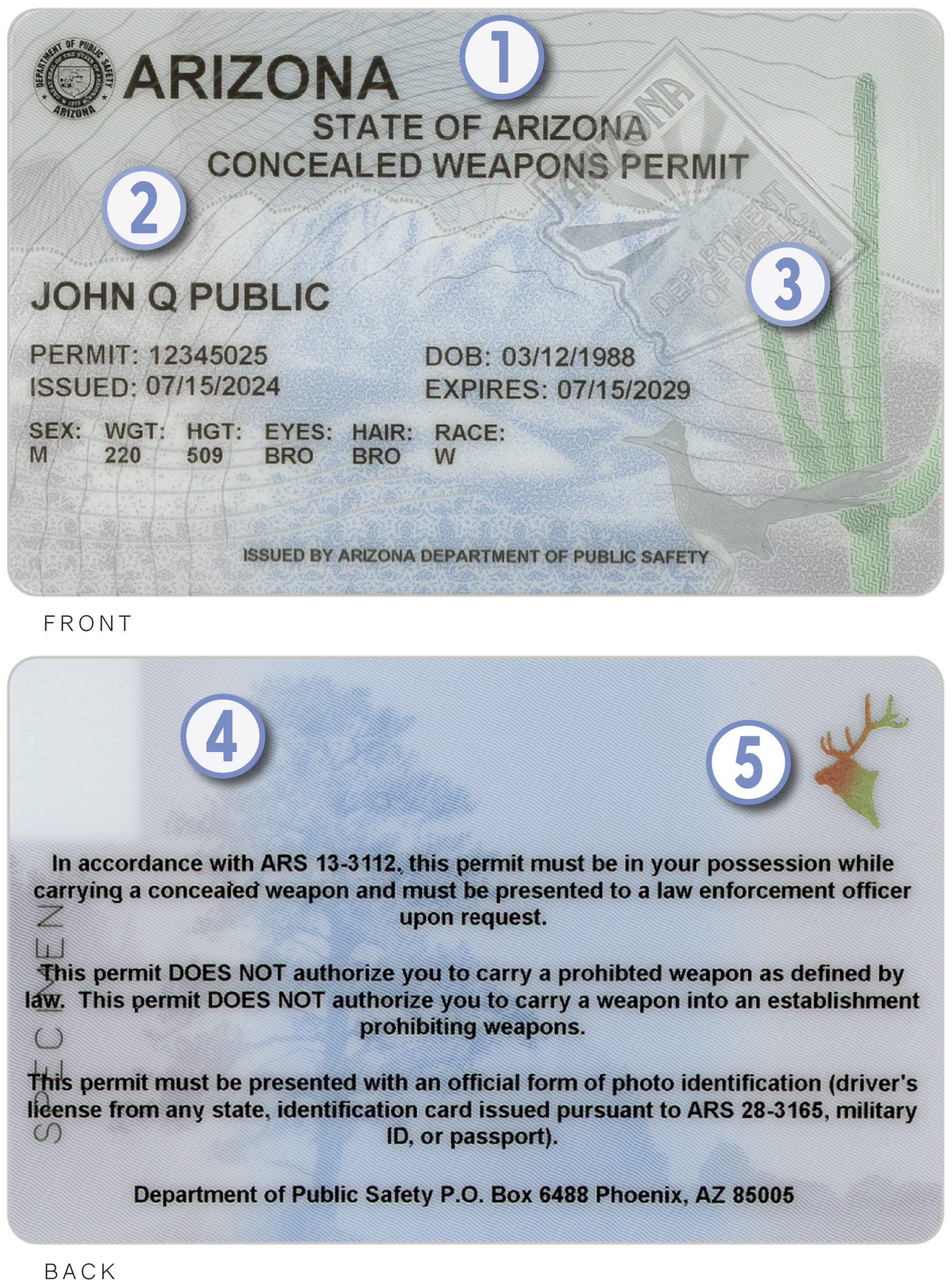 Person holding a concealed carry permit card next to a modern compact handgun