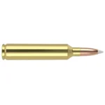 Nosler Accubond Trophy Grade Rifle Ammunition, side view of brass cartridge with pointed bullet
