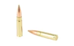 Magtech Ammunition CompanyInc Magtech First Defense Tactical Rifle Ammunition .300 Blackout 123gr FMJ 2230 fps 50/ct