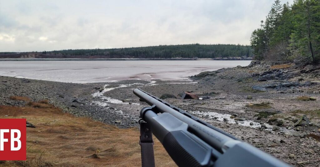 Hunter carrying pump-action shotgun through field at dawn