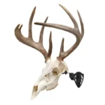 The Allen Company Inc. Allen EZ Mount Trophy Skull Hanger Black - alternate view 8