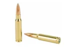 Federal Cartridge Co. Federal Premium Gold Medal Sierra Matchking Rifle Ammunition .308 Win 168 gr BTHP 2650 fps 20/ct