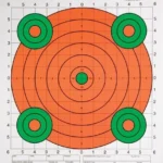 Champion Scorekeeper Targets, front view with fluorescent orange and green bullseyes