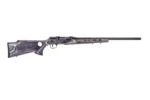 Savage Arms SAV A17 TRGT LAM THMBHLE 17HMR 22" - alternate view 2