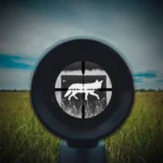 The Allen Company Inc. Allen EZ Aim Thermal ID Coyote Paper Target 24"x12" Grey - alternate view 2