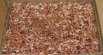 Hornady Mfg Hornady Traditional Varmint Bullets .22 cal .224" 55 gr SP CANN 6000/ct - alternate view 2