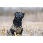 AdvenTec LLC dba Rig Em Right Outdoors Rig'Em Right Bloodline Elite Dog Vest Optifade Timber M - alternate view 2