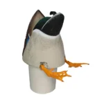 Avian-X Power Butt Kicker Duck Decoy - alternate view 2