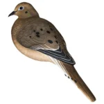 Avian APX Full Body Dove Decoys 6/ct - alternate view 2