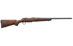 CZ CZ 600+ AMERICAN 243WIN 20" 5RD WLNT - alternate view 2