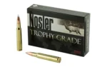 NOSLER 30-06 165GR AB 20/200 - alternate view 2