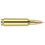 NOSLER TGA 22CM 70GR AB 20/200 - alternate view 2
