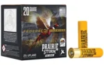 Federal FED PR STORM 20GA 3" #5 LEAD 25/250 - alternate view 2