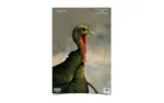 Birchwood Casey Pregame Turkey Paper Targets 12"x18" 8/ct - alternate view 2