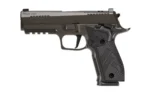 Sig Sauer P226 X Legion Handgun 9mm Luger 10rd Magazines(3) 4.4" Barrel DA/SA Optic Ready Legion Grey Cerakote - alternate