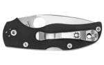 SPYDERCO NATIVE 5 G-10 S30V - alternate view 2