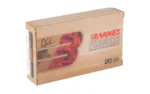 BARNES PIONER 45-70 300GR TSX 20/200 - alternate view 2