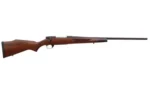 Weatherby WBY V-GRD SPRTR 243WIN 22" WLNT/MAT - alternate view 2