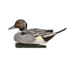 Avian-X Topflight Pintails Duck Decoys 6/ct - alternate view 3