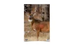 Birchwood Casey Pregame Targets Deer 16.5"x24" 3/ct - alternate view 3