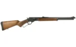 ROSSI R95 CLASSIC 45C 20" 10RD - alternate view 3