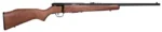 Savage Arms SAV 93 G 22WMR 21" 5RD WOOD - alternate view 3