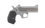 Bond Arms BOND AMERICA 250TH 45/410 4.25" STS - alternate view 3