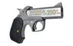 Bond Arms BOND MERICA 250TH 45-70 4.25" STS - alternate view 3