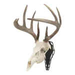 The Allen Company Inc. Allen EZ Mount Silhouette Skull Peg Black - alternate view 3