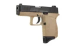 Diamondback DB9 Gen4 Handgun 9mm Luger 6rd Magazine(1) 3.1" Stainless Steel Barrel FDE Frame/Black Slide - alternate view 4