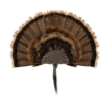 The Allen Company Inc. Allen EZ Mount Turkey Fan Display Brown - alternate view 4