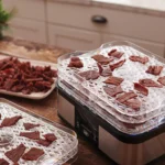 LEM Products 5-Tray Digital Dehydrator - alternate view 4