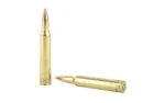 Federal Cartridge Co. Federal Premium Gold Medal Sierra MatchKing Rifle Ammunition .300 Win Mag 190 gr BTHP 2900 fps - 20/ct