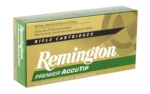 Remington REM PRMR ACCU 450BMSTR 260GR 20/200 - alternate view 4