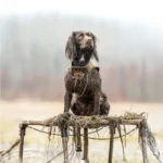 AdvenTec LLC dba Rig Em Right Outdoors Rig'Em Right Swamp Bully Dog Stand - alternate view 5