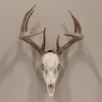 The Allen Company Inc. Allen EZ Mount Skull Peg Hook Black - alternate view 5