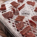 LEM Products 5-Tray Digital Dehydrator - alternate view 5