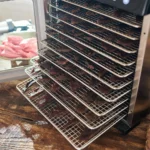 LEM Products LEM BigBite 10-Tray Stainless Steel Dehydrator - alternate view 5