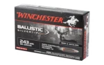 Winchester Ammunition WIN BLSTC TIP 243WIN 95GR 20/200 - alternate view 6