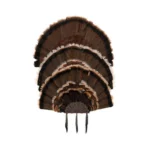 The Allen Company Inc. Allen EZ Mount Stackable Turkey Fan and Beard Display - alternate view 8
