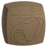 Feradyne Outdoors GlenDel Full-Rut Buck Insert Core, brown front view with marked vital zones