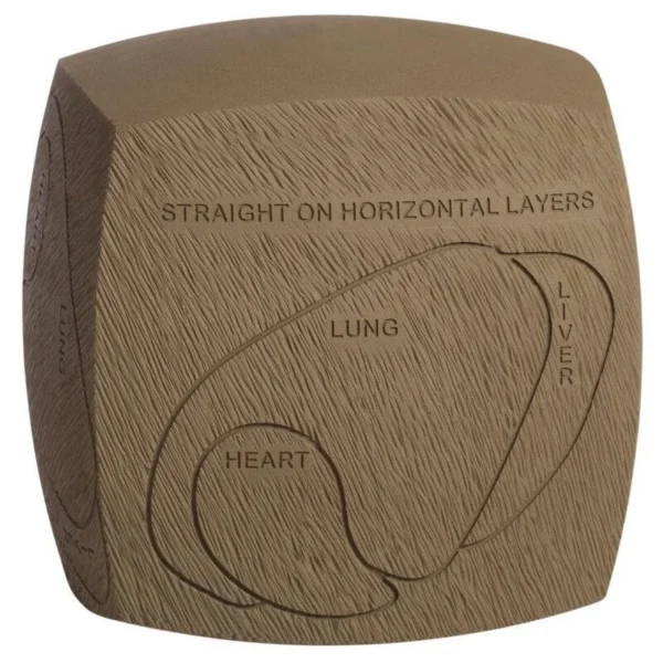 Feradyne Outdoors GlenDel Full-Rut Buck Insert Core, brown front view with marked vital zones